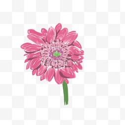 粉色鲜花写实花朵绘画