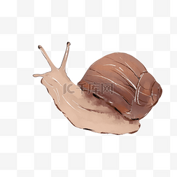 一只蜗牛手绘插画
