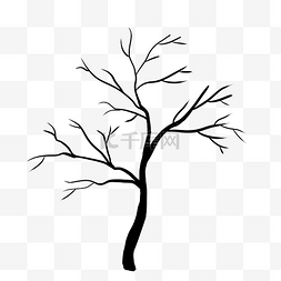 弯弯曲曲的树枝
