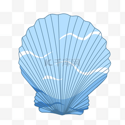 矢量图蓝色的贝壳