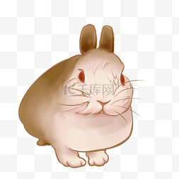 手绘兔子耳朵图片_棕色可爱兔子