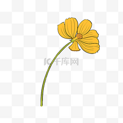 手绘花卉植物黄色可爱硫磺菊花店