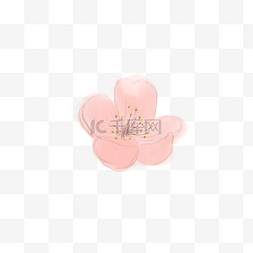 手绘水彩一朵粉色樱花免费下载