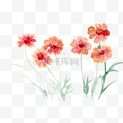 鲜艳的红花水彩画PNG免抠素材