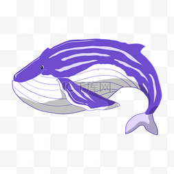 紫色的鲸鱼图片_活跃的线条鲸鱼插画