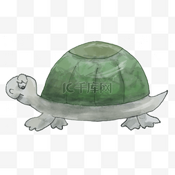 可爱动物乌龟图片_手绘可爱绿色乌龟png