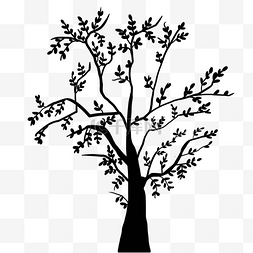 枯藤老树图片_黑白树枝树木