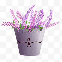 紫色花朵叶子盆栽