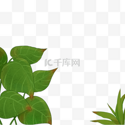 绿色植物树叶元素