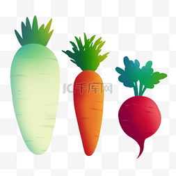 手绘蔬菜萝卜