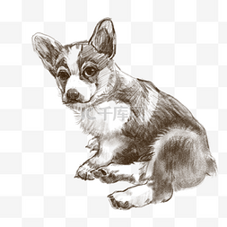 可爱的小狗装饰图片_线描可爱的小狗插画