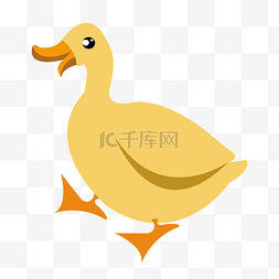 黄色的家禽鸭子插画