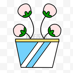粉色植物盆栽图片_粉色的花朵 