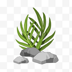 植物岩石图案
