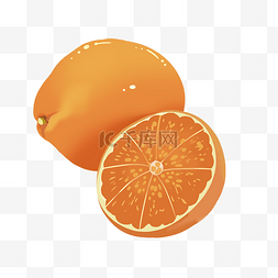 橘色植物免抠素材图片_晶莹剔透水果手绘