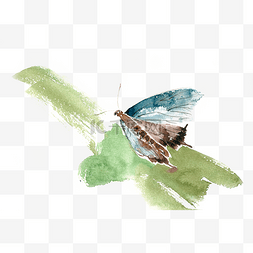 水彩画绿叶图片_草叶上的蝴蝶水彩画PNG免抠素材
