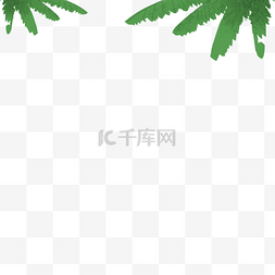 热带沙滩树叶png