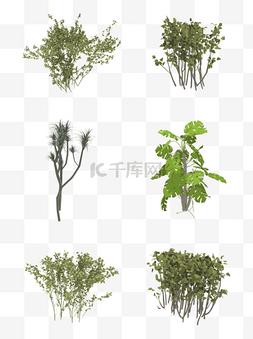 鸟兽草木图片_简约扁平手绘风低矮灌木绿色植物