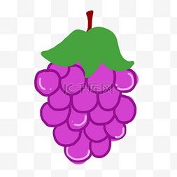  水果紫葡萄