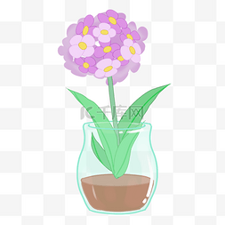 紫色小花盆栽图片_紫色的小花手绘插画