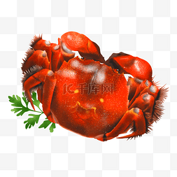红螃蟹图片_手绘插画美食大闸蟹