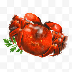 手绘插画美食大闸蟹