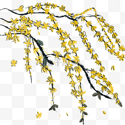手绘花朵彩色图片_手绘水墨风中黄色迎春花