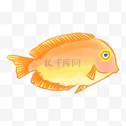 海底的小鱼图片_橘色的热带鱼装饰插画