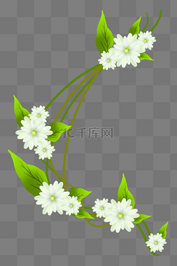  白色花朵花藤