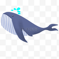 游动的鲸鱼手绘插画