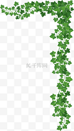 绿色背景图片_绿色树叶矢量
