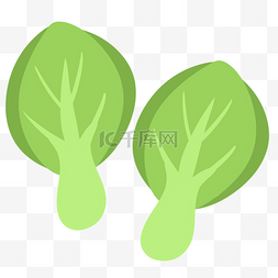 青菜菜叶绿色