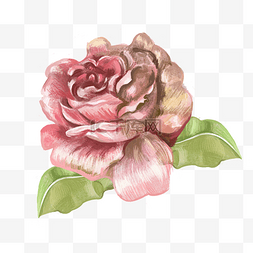 花粉手绘图片_情人节花粉红色手绘细致少女心png