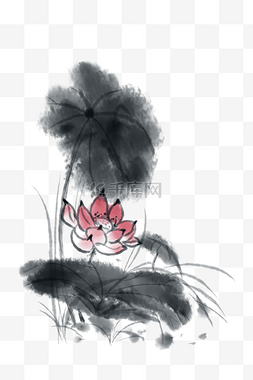 荷花水墨插画图片_漂亮的水墨荷花插画