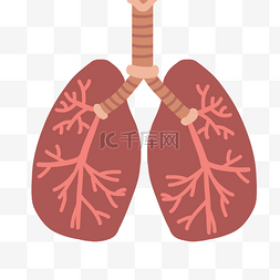 红色的肺部图片_卡通红色肺部插画