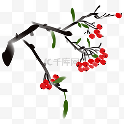 红色花藤植物图片_水墨绿叶红色果实