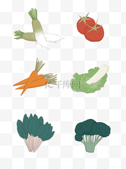 手绘绿色蔬菜萝卜西红柿