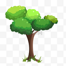 寓意枝繁叶茂图片_环境绿色植物大树