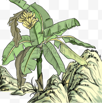 中国风山水画国画树林水墨香蕉树