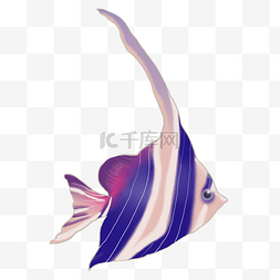 紫色纹理海鱼