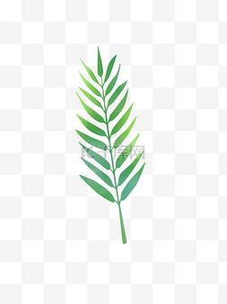 聚中纹理图片_手绘纹理漂亮美观绿色植物绿叶可