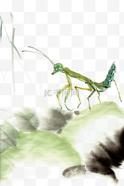螳螂绿色水墨画PNG素材