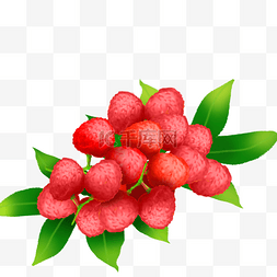 红硬图片_果水果果子荔枝果团锦簇