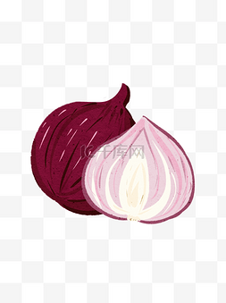 紫洋葱圈图片_洋葱手绘蔬菜食物卡通插画元素