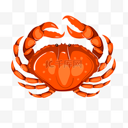 螃蟹手绘图片_红色的螃蟹手绘插画