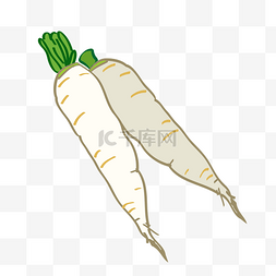 素菜卡通图片_蔬菜品种白萝卜矢量图