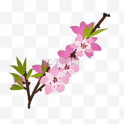 插画粉色樱花装饰