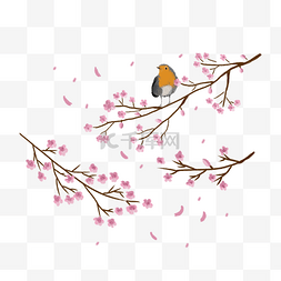 樱花花瓣图片_节气之立春