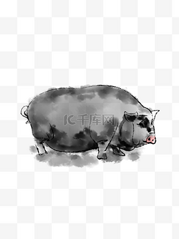 水墨动物—猪商用中国画毛笔画