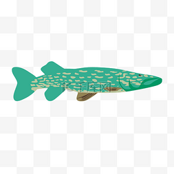 卡通鱼彩绘鱼元素